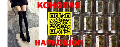 шишки Нальчик