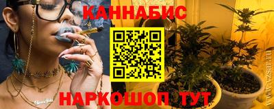 шишки Нальчик